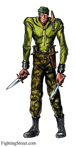 Holly Wood of Final Fight 1 (for SNES/Super Famicom) Art