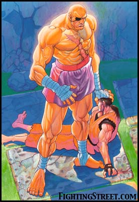 Sagat vs Dan Hibiki